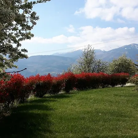 Гостевой дом Diochri 4*