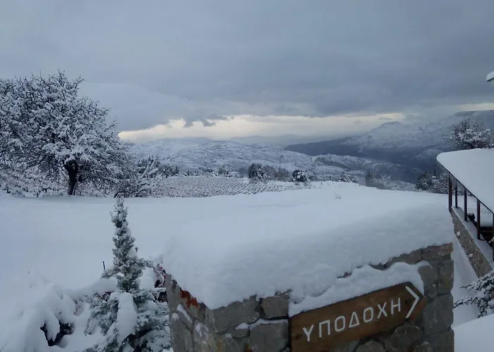 Diochri Guest house 4*